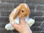 Lieve hangoor dwergkonijnen, gekoppeld en gecastreerd!, Dieren en Toebehoren, Meerdere dieren, Dwerg, Hangoor