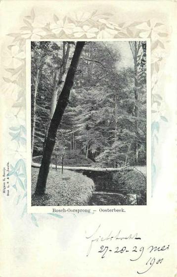 (380-941-019) Oosterbeek Bosch Oorsprong beschikbaar voor biedingen