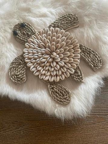 Nieuw schelpen touw schildpad beschikbaar voor biedingen