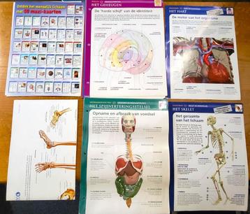 Verzameling Uitgeverij Atlas ontdek het menselijk lichaam beschikbaar voor biedingen