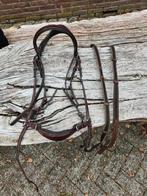 Verschillende hoofdstellen maat pony en cob, Dieren en Toebehoren, Paarden en Pony's | Hoofdstellen en Tuigage, Ophalen of Verzenden
