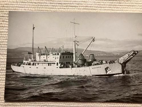 Royal Navy   MANDARIN  - foto Duncan, Verzamelen, Scheepvaart, Ophalen of Verzenden