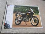 Suzuki DR 650 RSE brochure folder 1994 ?, Suzuki