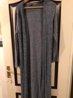 Vest lang didi maat l, Kleding | Dames, Ophalen of Verzenden, Zo goed als nieuw, Maat 38/40 (M), Grijs