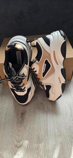 Steve Madden sneakers maat 36, Kleding | Dames, Schoenen, Ophalen of Verzenden, Zo goed als nieuw, Zwart, Sneakers of Gympen