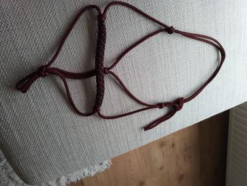 Touwhalster maat cob beschikbaar voor biedingen