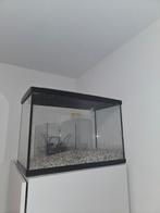 Aquarium 50 liter, Dieren en Toebehoren, Vissen | Aquaria en Toebehoren, Ophalen