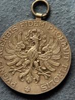 pugnis acerbis fidem probavit tiroler medaille, Ophalen of Verzenden, Zilver, Buitenland