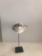 puffervis  op standaard, Huis en Inrichting, Woonaccessoires | Overige, Ophalen, Nieuw