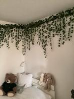 Klimop voor decoratie, Ophalen of Verzenden, Zo goed als nieuw