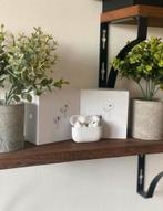 Airpods Pro 2 Gloednieuw, Ophalen, Nieuw, In oorschelp (earbud), Bluetooth