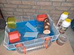 Hamsterkooi met attributen, Dieren en Toebehoren, Minder dan 60 cm, Kooi, Gebruikt, Minder dan 75 cm