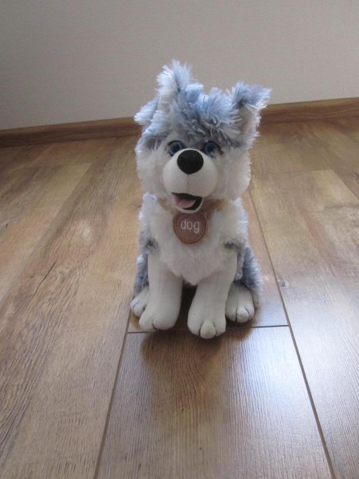 PAWS by Dino superzacht blauw/grijs gemèleerde hond dog knuf, Kinderen en Baby's, Speelgoed | Knuffels en Pluche, Nieuw, Hond