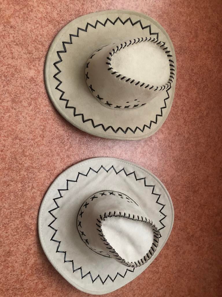 Twee cowboyhoeden, Kleding | Heren, Carnavalskleding en Feestkleding, Zo goed als nieuw, Overige maten, Ophalen of Verzenden