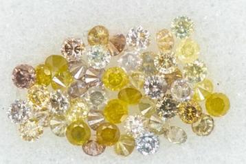49 Diamanten - Fancy Briljanten [Gecertificeerd]  beschikbaar voor biedingen