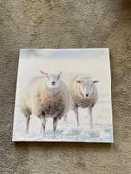 canvasdoek met 2 schapen, Ophalen, 50 tot 75 cm, Nieuw, Schilderij