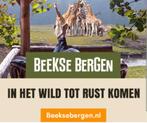 Beekse bergen 2 E-Tickets tm 31/12/25 geldig, Tickets en Kaartjes, Eén persoon