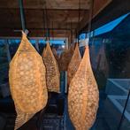 Verse walnoten 2025!, Tuin en Terras, Planten | Fruitbomen, Ophalen of Verzenden, Minder dan 100 cm, Overige soorten, Lente