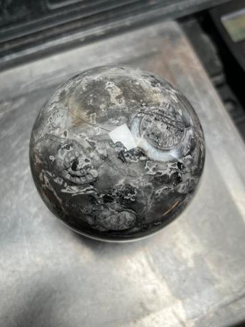 Ammoniet Fossiel Steen Bol - 1040 gram beschikbaar voor biedingen