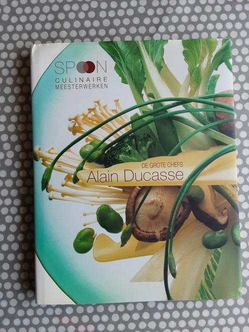 SPOON  culinaire meesterwerken  - Alain Ducasse, Boeken, Kookboeken, Gelezen, Ophalen of Verzenden