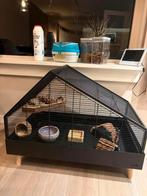 Hamsterkooi Beezteez te koop, Dieren en Toebehoren, Kooi, Minder dan 75 cm, Zo goed als nieuw, Chinchilla