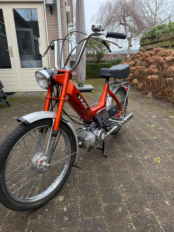 Puch Maxi-N 1981 - Volledig Gereviseerd - Zeer goede staat, Fietsen en Brommers, Brommers | Puch, Zo goed als nieuw, Maxi, Maximaal 25 km/u