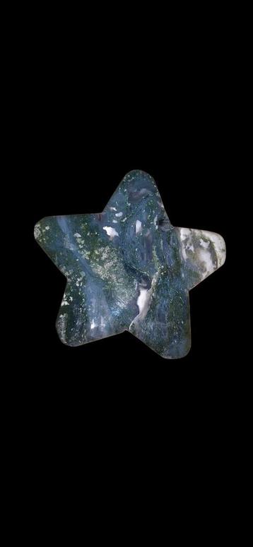 Mosagaat zeester beschikbaar voor biedingen