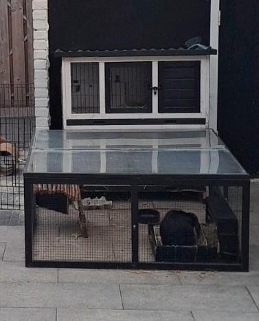 Konijnenhok zwart wit met overdekte ren, Dieren en Toebehoren, Knaagdieren en Konijnen | Hokken en Kooien, Gebruikt, Hok, 90 cm of meer