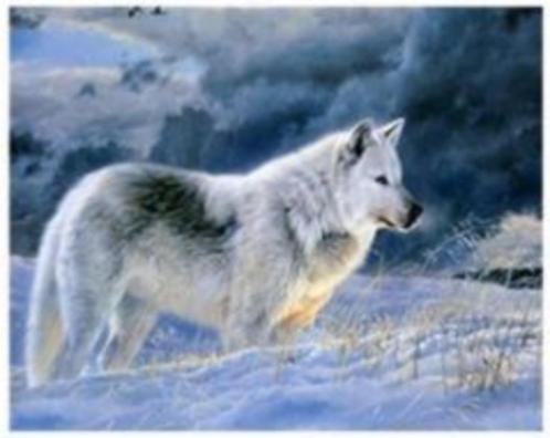 Diamond painting: kleine witte wolf (BOX D-060), Hobby en Vrije tijd, Knutselen, Nieuw, Knutselwerk, Ophalen