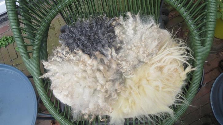 Gevilt wollen kleedje, 2 soorten wol, Gotland, Poll Dorset, Huis en Inrichting, Woonaccessoires | Kussens, Nieuw, Overige kleuren