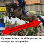 wie komt ons helpen met het verzorgen van de paarden?, Dieren en Toebehoren, Ophalen, Gebruikt
