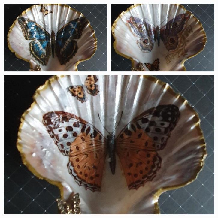 St. Jacobsschelpen met vlinder decoratie, Huis en Inrichting, Woonaccessoires | Schalen en Manden, Rond, Ophalen of Verzenden