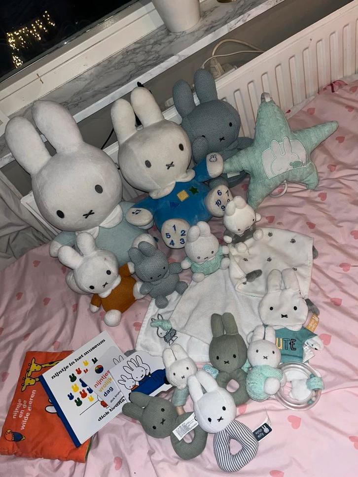 Nijntje Knuffel Pakket - Complete Collectie!, Kinderen en Baby's, Speelgoed | Knuffels en Pluche, Gebruikt, Konijn, Ophalen of Verzenden
