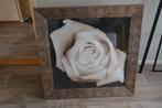 XL lijst met grote Roos, Ophalen, Zo goed als nieuw, 75 cm of meer, 50 tot 75 cm