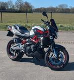 Aprilia Shiver 750 Wit ABS Akrapovic 2013, Motoren, 750 cc, Particulier, ABS, Naked bike