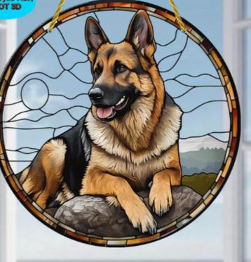 Raamhanger Duitse herder liggend beschikbaar voor biedingen