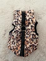 Hondenkleding xxs, Dieren en Toebehoren, Ophalen of Verzenden, Zo goed als nieuw