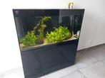 Aquarium aquael 260 liter met discus, Dieren en Toebehoren, Ophalen, Gevuld zoetwateraquarium