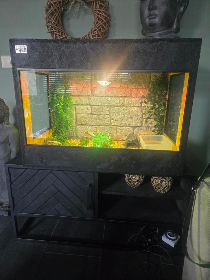 Terrarium inc rattenslangen
