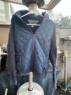 Tommy Hilfiger jas/vest - Maat S, Ophalen, Zo goed als nieuw, Maat 46 (S) of kleiner, Blauw