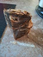 Versteend Hout met Agaat, Verzamelen, Ophalen of Verzenden, Fossiel
