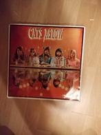 Lp, The Cats,Aglow, Ophalen of Verzenden, 1960 tot 1980, Gebruikt, 12 inch
