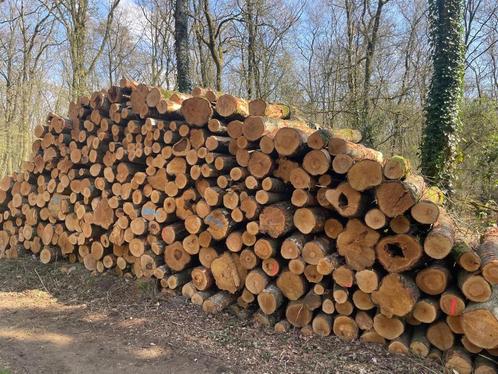 Berkenstammen leverbaar | Volle vrachten stamhout, Tuin en Terras, Haardhout, Stammen, Berkenhout, 6 m³ of meer, Verzenden