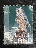 3132 NL 2020 - Beleef Natuur- Roofvogels en Uilen gestempeld, Postzegels en Munten, Postzegels | Nederland, Na 1940, Ophalen, Gestempeld