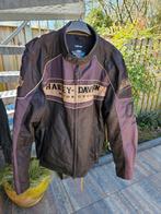 Harley Davidson jas man
Polyester, Jas | textiel, Heren, Harley Davidson, Ophalen of Verzenden