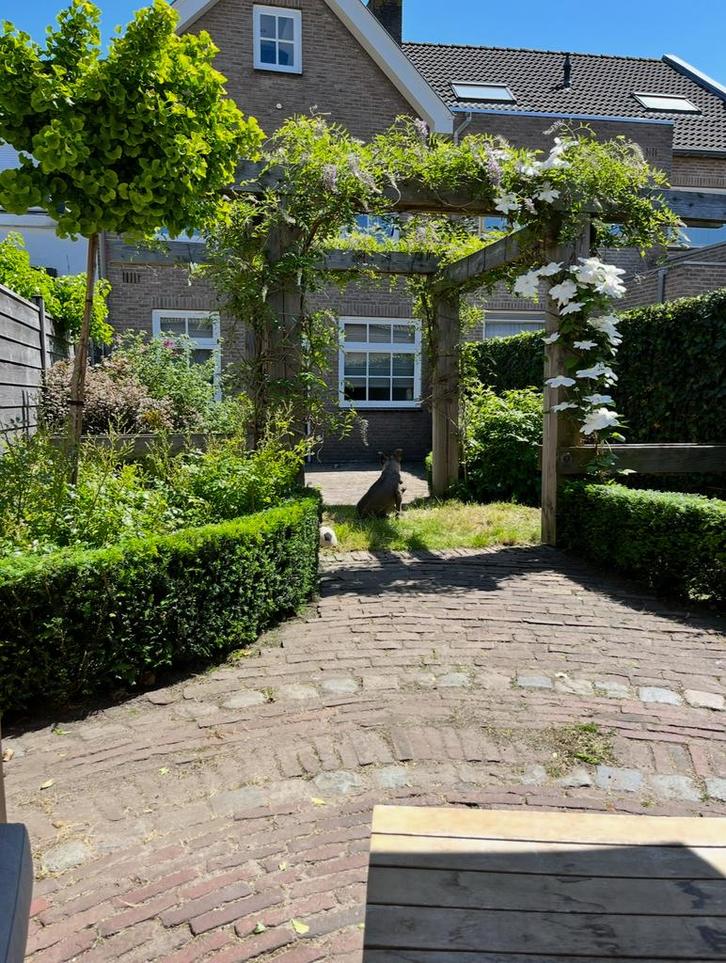 Tuinman gezocht, Diensten en Vakmensen, Tuinmannen en Stratenmakers, Tuinonderhoud of Snoeiwerk