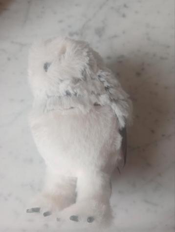 Hedwig uil  beschikbaar voor biedingen