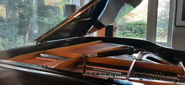 piano' s stemmen en nog véél meer., Diensten en Vakmensen, Reparatie en Onderhoud | Muziekinstrumenten