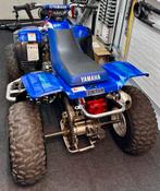 Yamaha warrior, Motoren, 398 cc, 1 cilinder, 12 t/m 35 kW