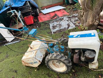 Bertolini benzine tuinfrees beschikbaar voor biedingen